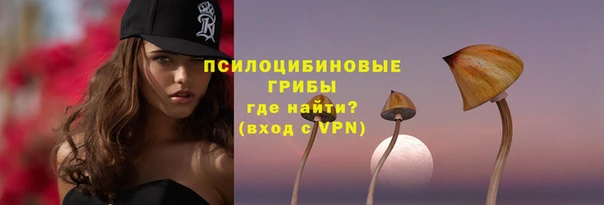 2c-b Белокуриха