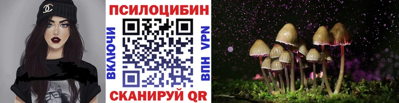Псилоцибиновые грибы Cubensis  Белоярский 